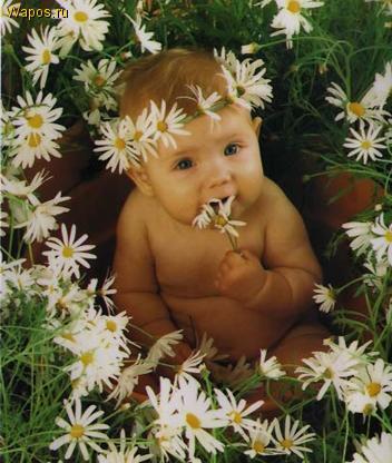 Роза Валеева