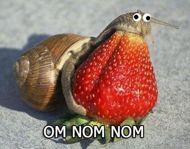 Ольга Екимцева