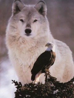 Николай Каримов