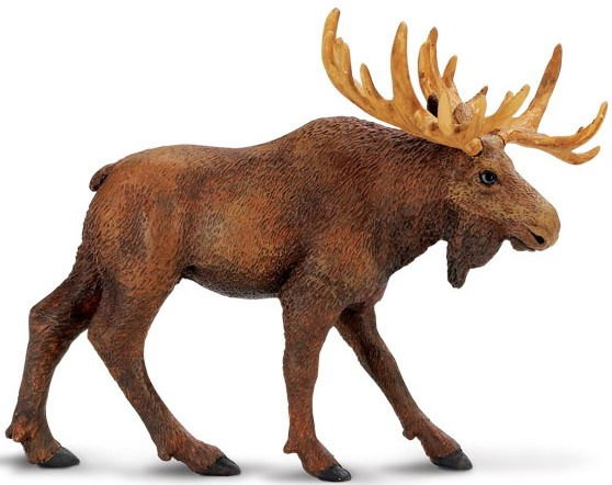 Не Узнанный Nv