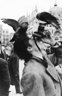 Анастасия Нефёдова