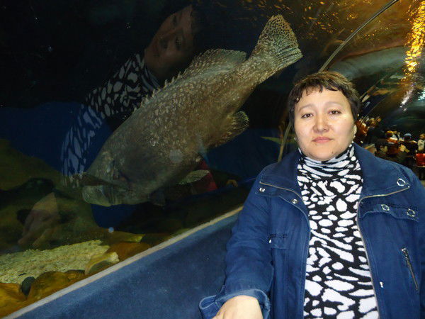 Роза Абылкалыкова