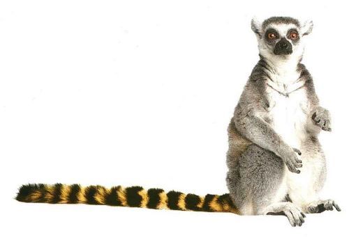 Юрий Дмитриенко