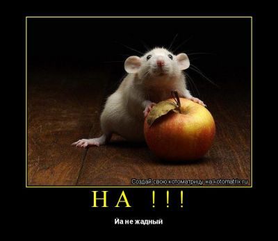 Не Важно Тем Более