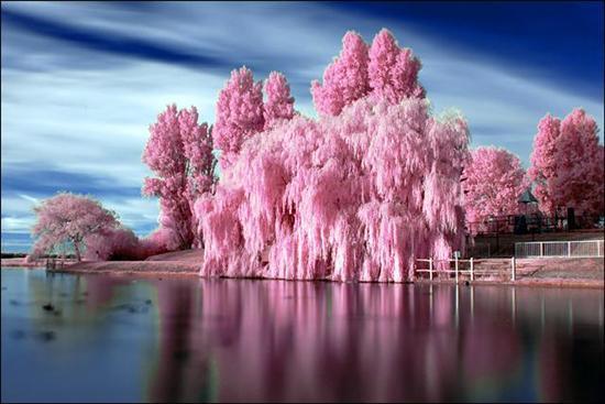 Натэлла Сторожева