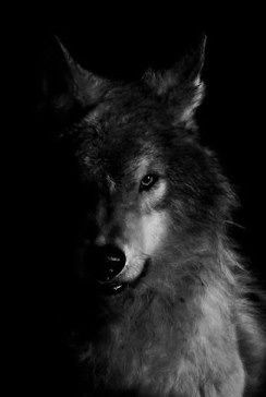 Вячеслав Байдин