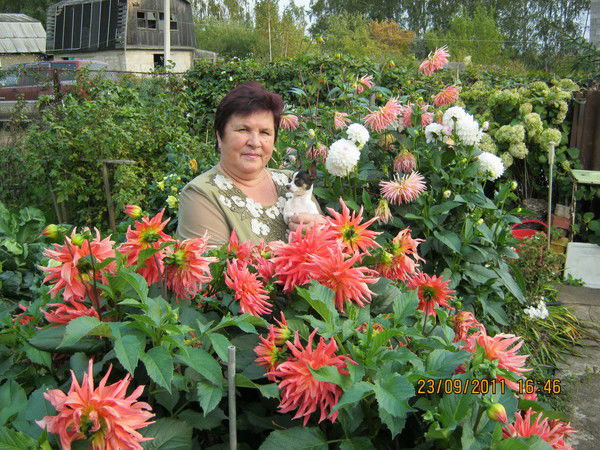 Татьяна Киселева