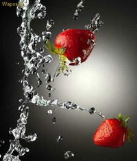 Даша Самофалова