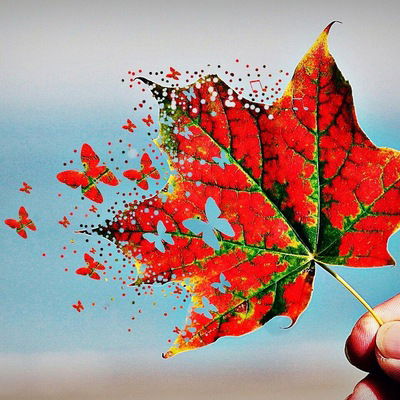 Юлия Булгакова