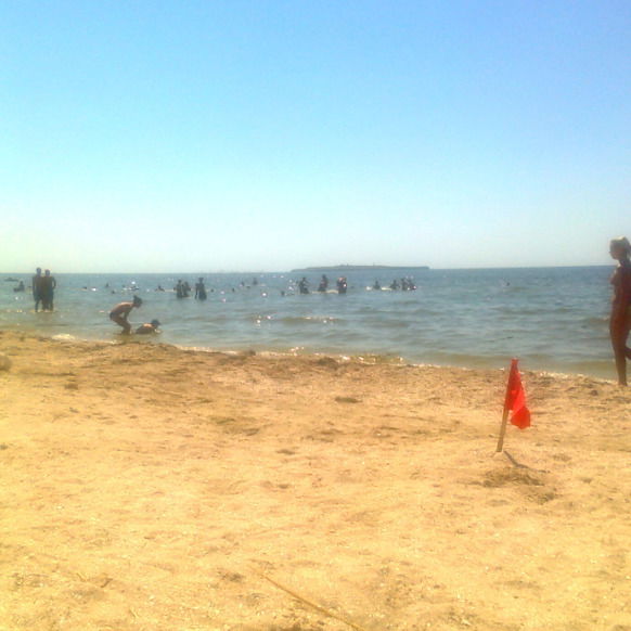 Константин Новик