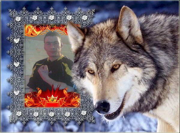 Денис Ровенский