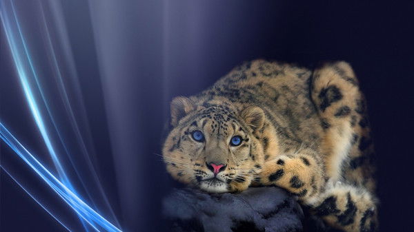 Марина Нестеренко