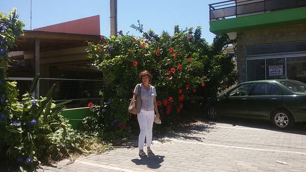 Людмила Климовская