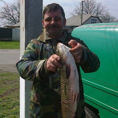 Виктор Рогожан