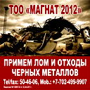 Маг Магнат