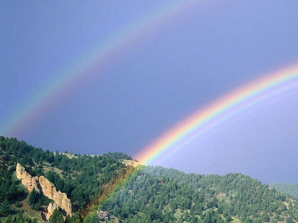 Елена Титова