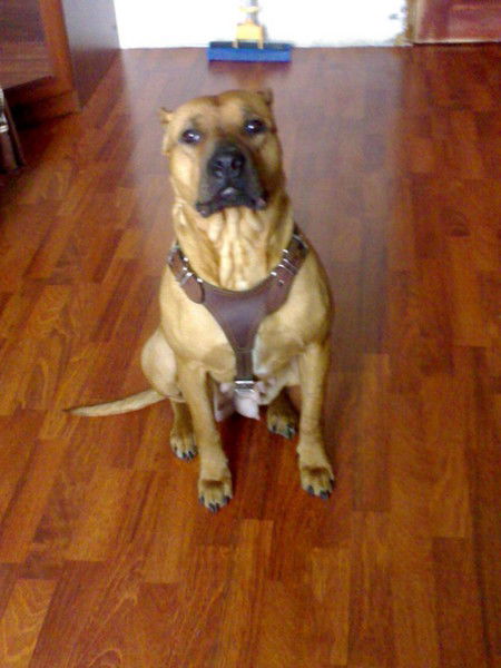 Алексей Егоров