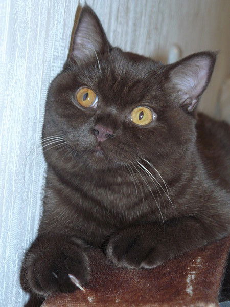 Ольга Малышкина