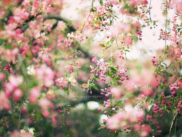 Гулия Нигматуллина