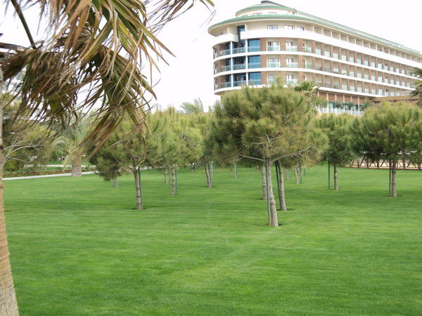 Львица Пантера