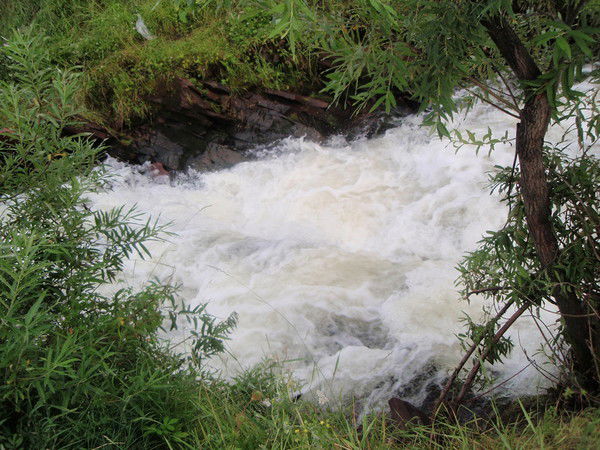 Ольга Фильшина