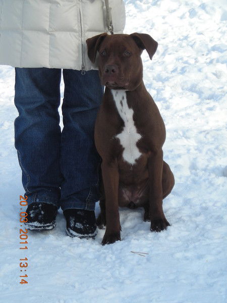 Неизвестно Неизвестно