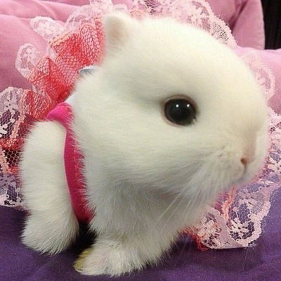 Анастасия Пикселева