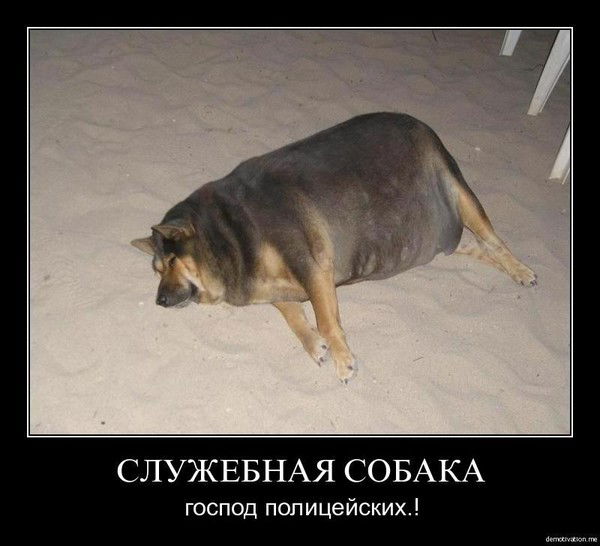 Вадим Вавилов