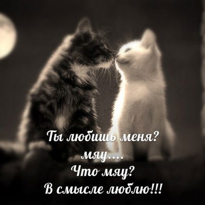 София Федосеева