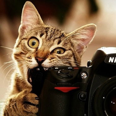 Александра Талышева