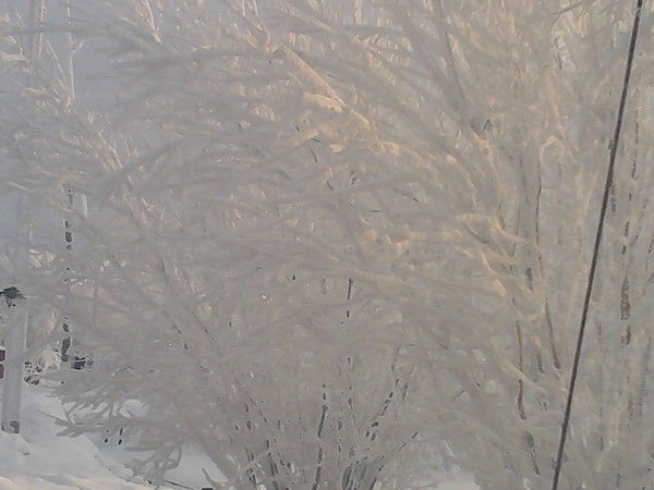 Сургутский Филиал Зю