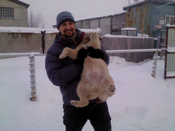 Гена Акунец