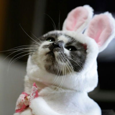 Настюша Ринкевич