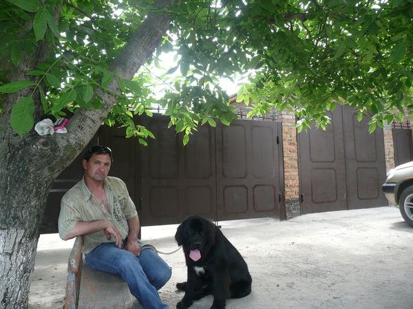 Дмитрий Доценко