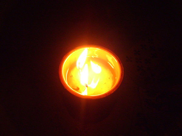 Татьяна Тужилина