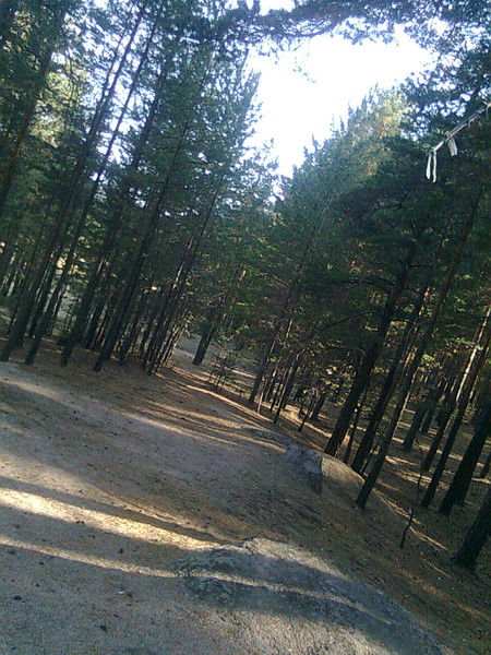 Дана Далина