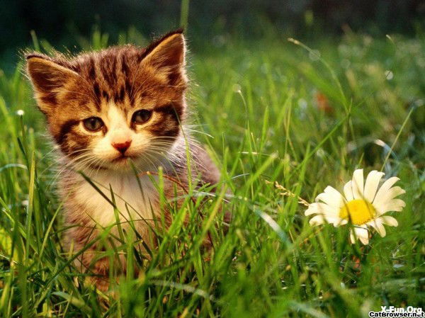 Гульнара Макымбаева