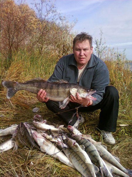 Володя Байгузин