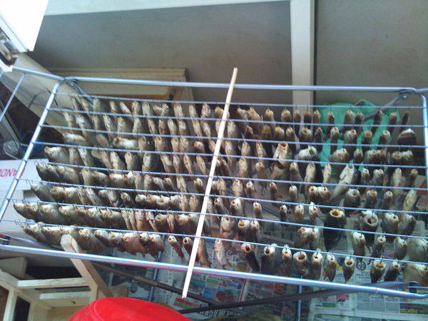 Александр Ремезов