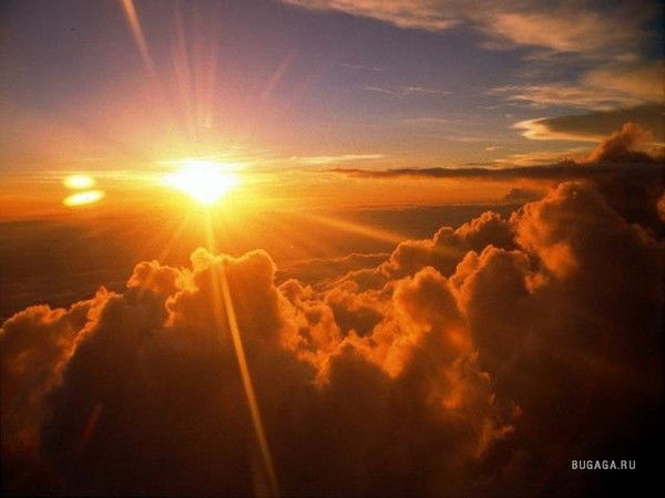 Галина Пашаева