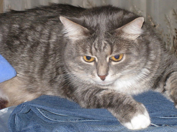 Надежда Митрошина