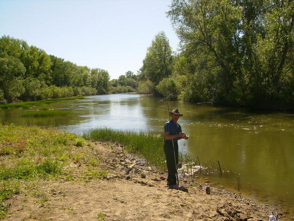 Пётр Габатель