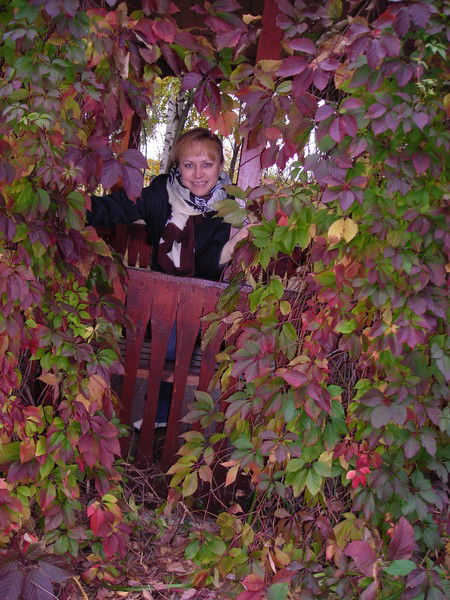 Светлана Соколова