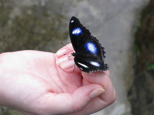 Александра Осипова