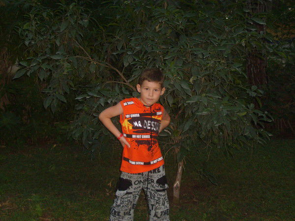 Рашит Хафизов