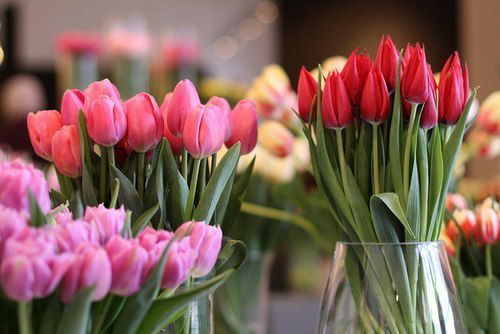 Бигайша Оспанова