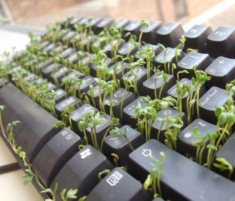 Станислав Махусеев