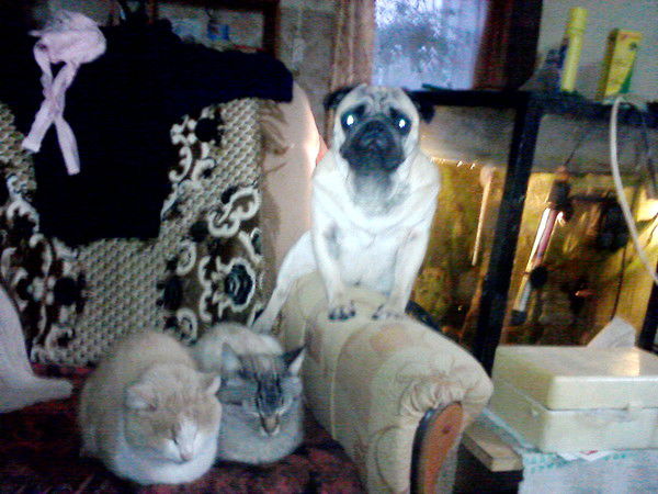 Светлана Васянина(Уракова)