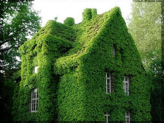 Даша Семенова