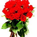 Shamshirakh_Zhurnal